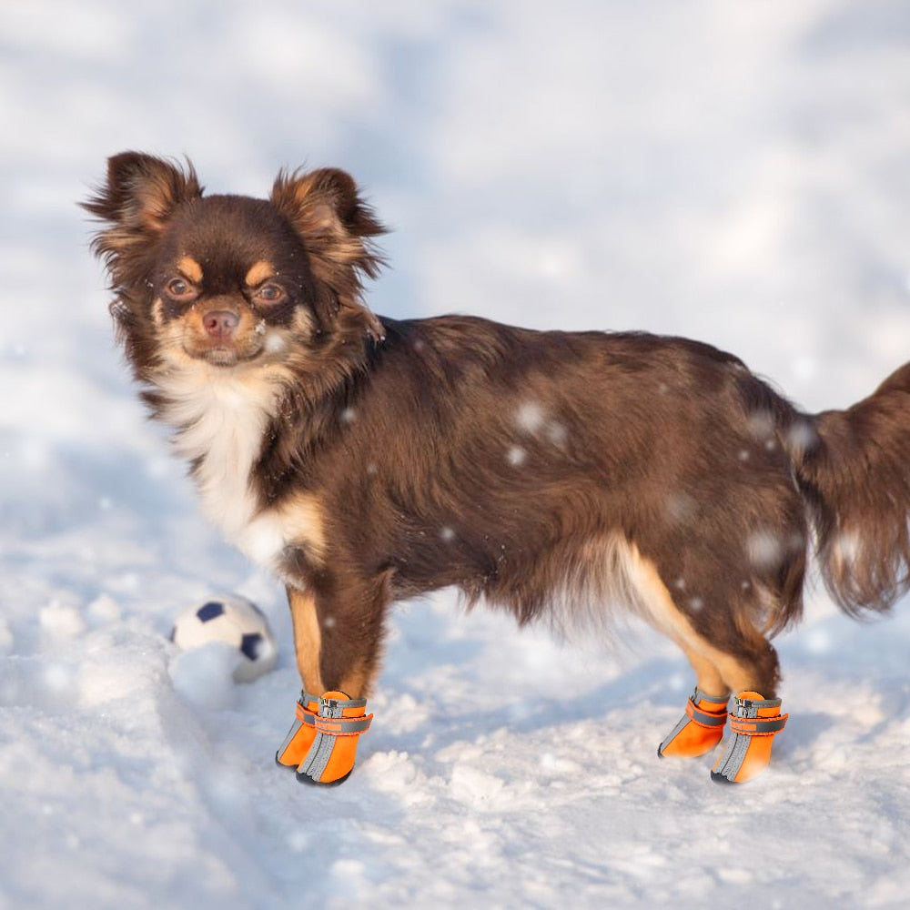 Dog Shoes Winter Boots Waterproof Pet Snow Rain