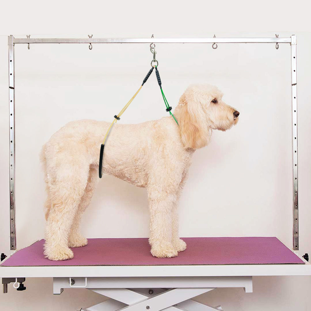 Pet Dog Cat Grooming Loop Table Arm Body Noose