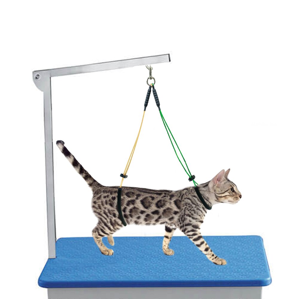 Pet Dog Cat Grooming Loop Table Arm Body Noose